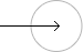 다음